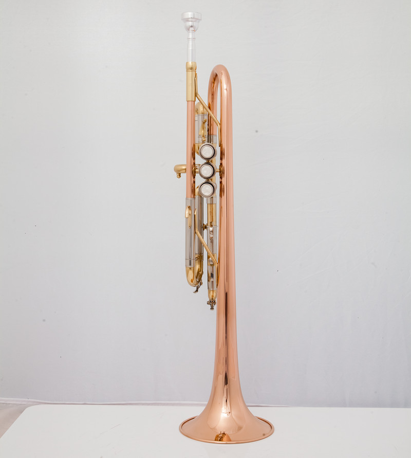 ทรัมเป็ต C มืออาชีพเครื่องดนตร - Musical Instrument Bugle บทวิจารณ์และราคา